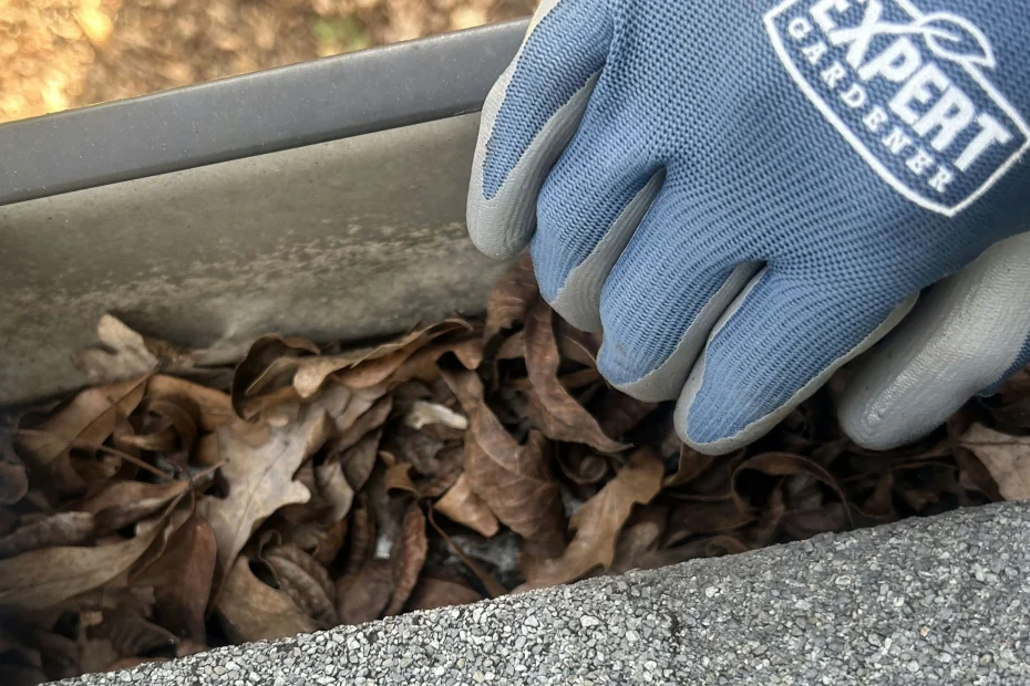 Gutter Cleaning Fairfax