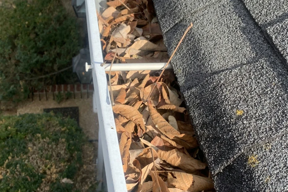 Gutter Cleaning Fairfax