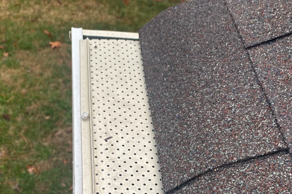 Gutter Cleaning Fairfax