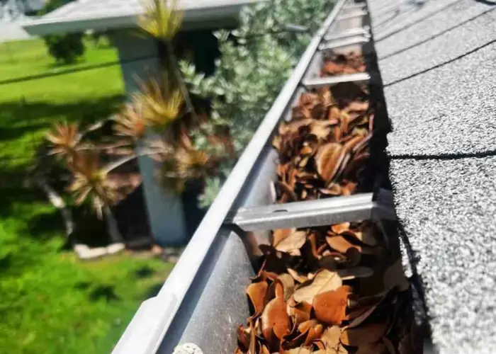 Gutter Cleaning Fairfax home page